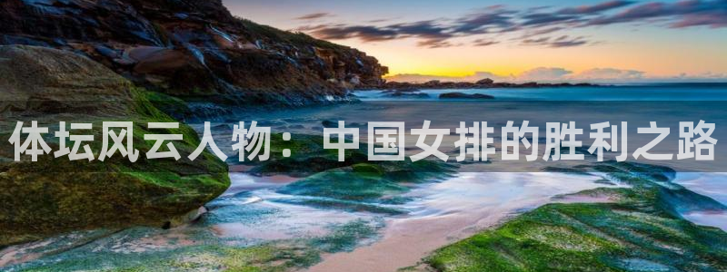 球王会体育