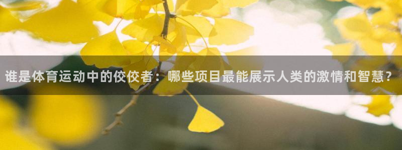 球王会体育