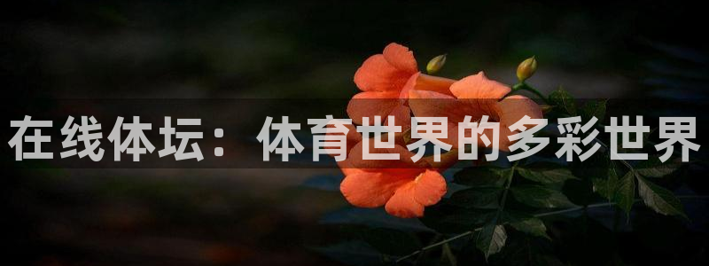 球王会体育