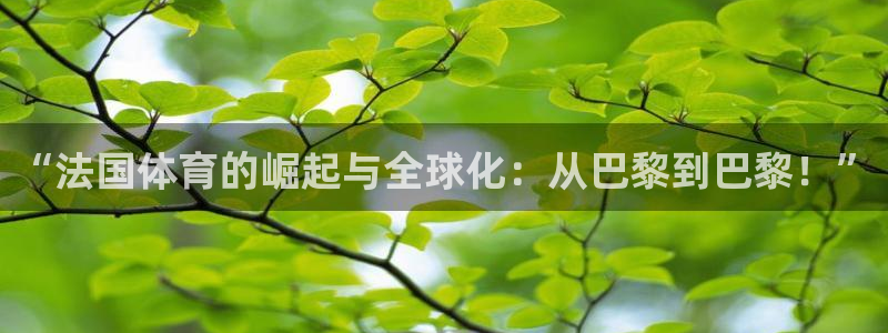 球王会体育