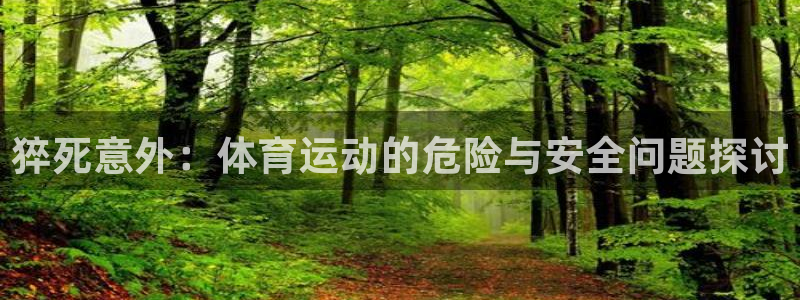 球王会体育