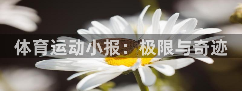 球王会体育：体育运动小报：极限与奇迹