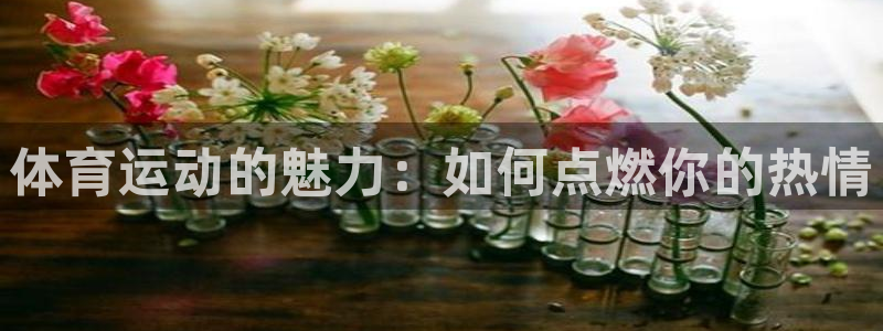 球王会体育