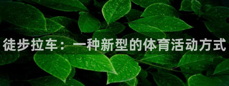 球王会体育：徒步拉车：一种新型的体育活动方式