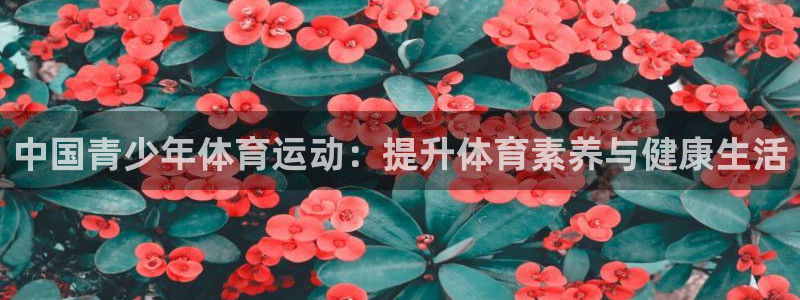 球王会体育：中国青少年体育运动：提升体育素养与健康生活