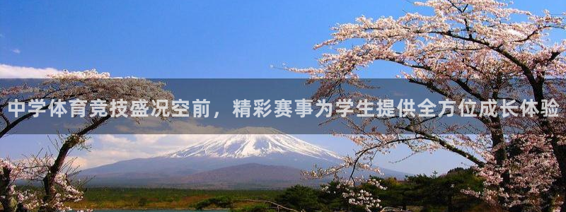 球王会体育