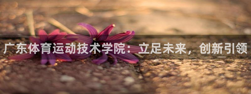 球王会体育：广东体育运动技术学院：立足未来，创新引领