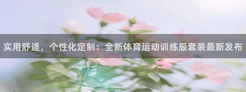 球王会体育