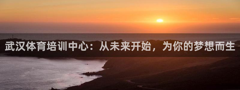 球王会体育