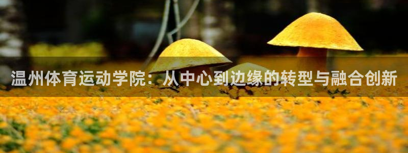 球王会体育