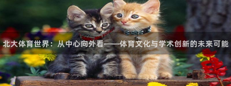球王会体育
