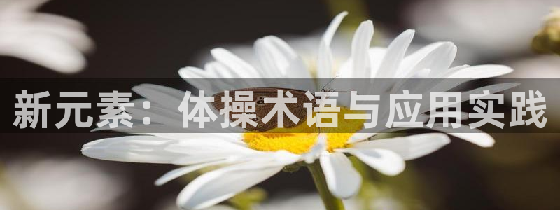 球王会体育