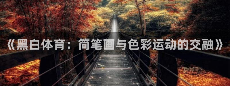 球王会体育