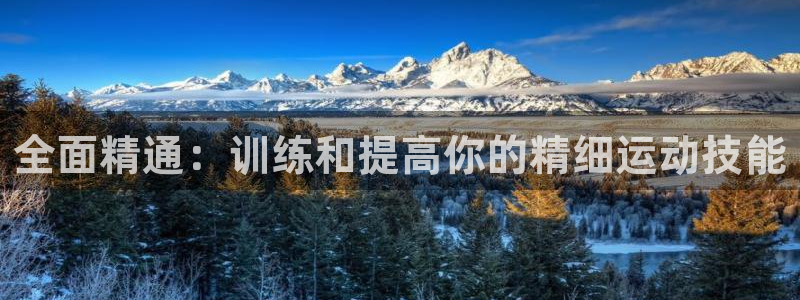 球王会体育：全面精通：训练和提高你的精细运动技能