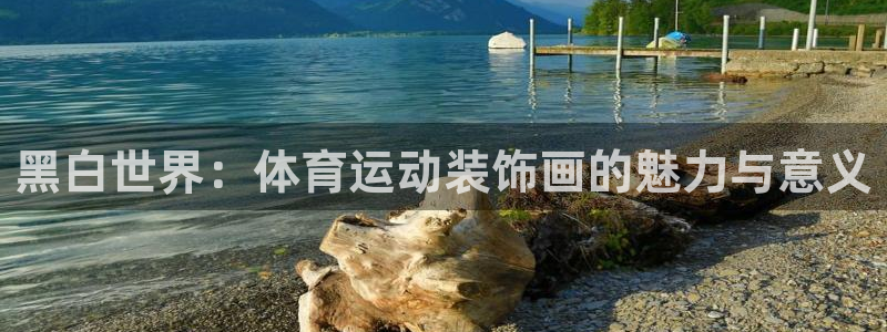 球王会体育：黑白世界：体育运动装饰画的魅力与意义
